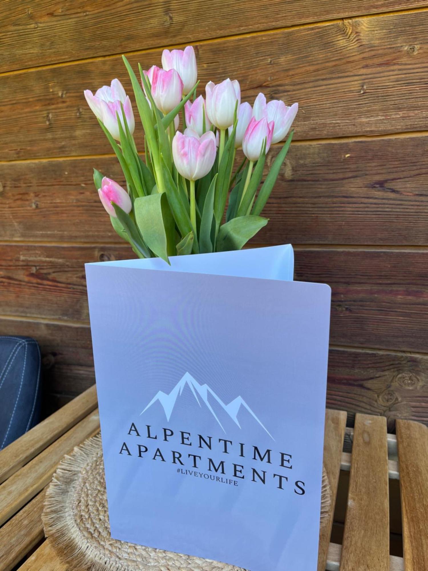 Alpentime Apartments Neustift im Stubaital Exteriör bild